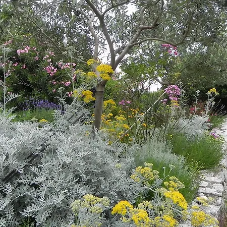 Lejlighed Katalenic Selce