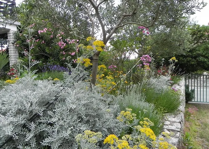 Daire Katalenic Selce