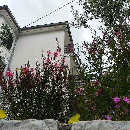 Apartment Apartments Katalenic