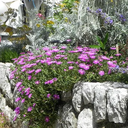 Katalenic Apartament Selce