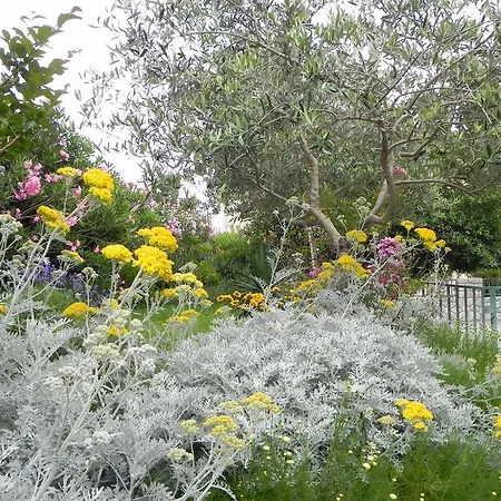 Apartments Katalenic