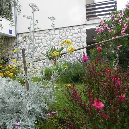 Apartament Katalenic *