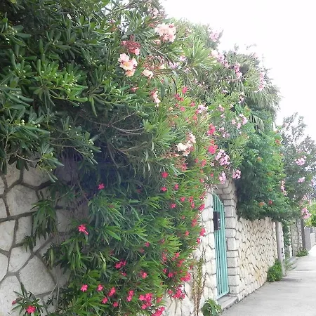 Apartament Katalenic *