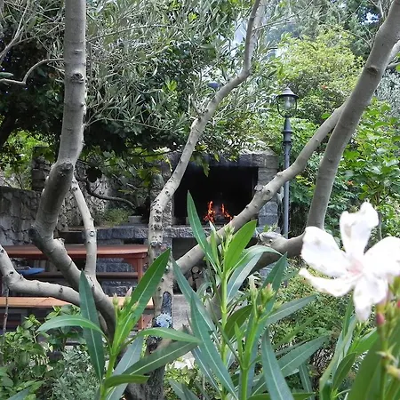 Apartments Katalenic * Selce