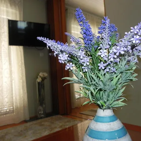 Apartments Katalenic * Selce