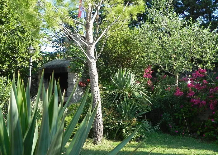 Apartman Apartments Katalenic Selce