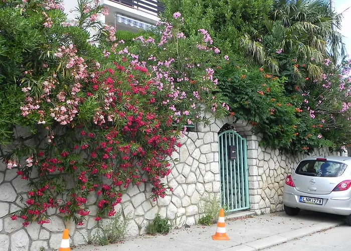 Apartments Katalenic *