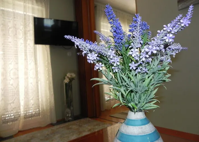 Apartments Katalenic * Selce
